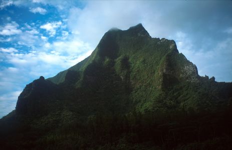 Rotui